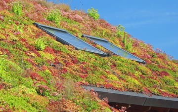 Llan Ffestiniog living roof systems
