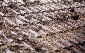 Llan Ffestiniog roof cleaning companies